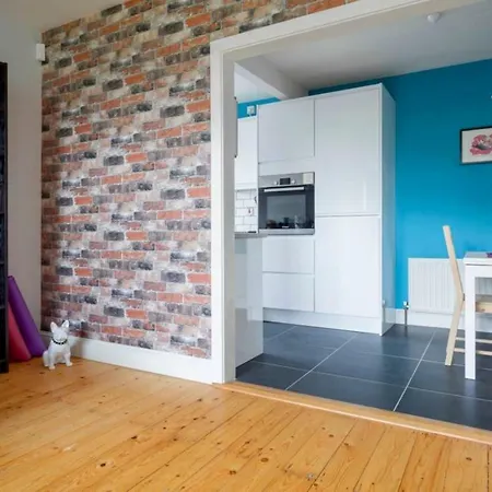 Apartment Spacious 1 Bedroom Near The Triangle Dublin